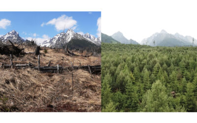 PRÍRODA TATIER ŽOBRE O SVOJU BUDÚCNOSŤ